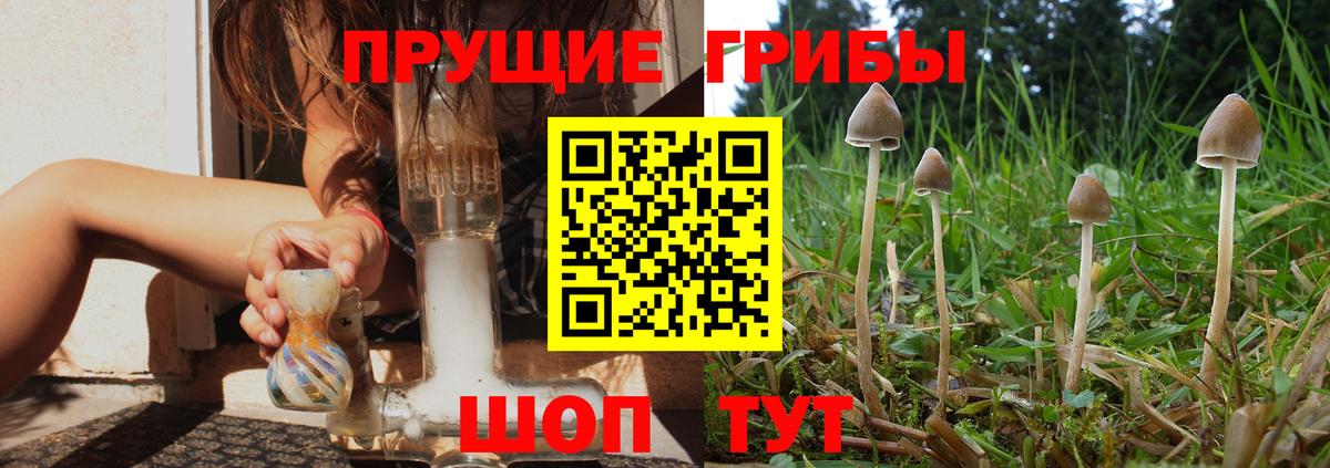 Галлюциногенные грибы Cubensis Озёры