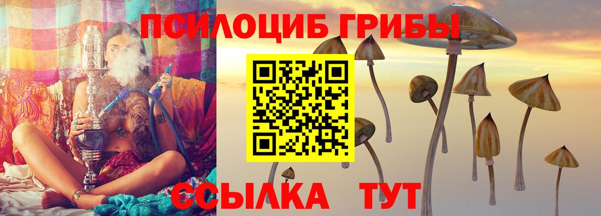 Озёры  Галлюциногенные грибы MAGIC MUSHROOMS  Псилоцибиновые грибы Psilocybine cubensis  Вход с VPN 